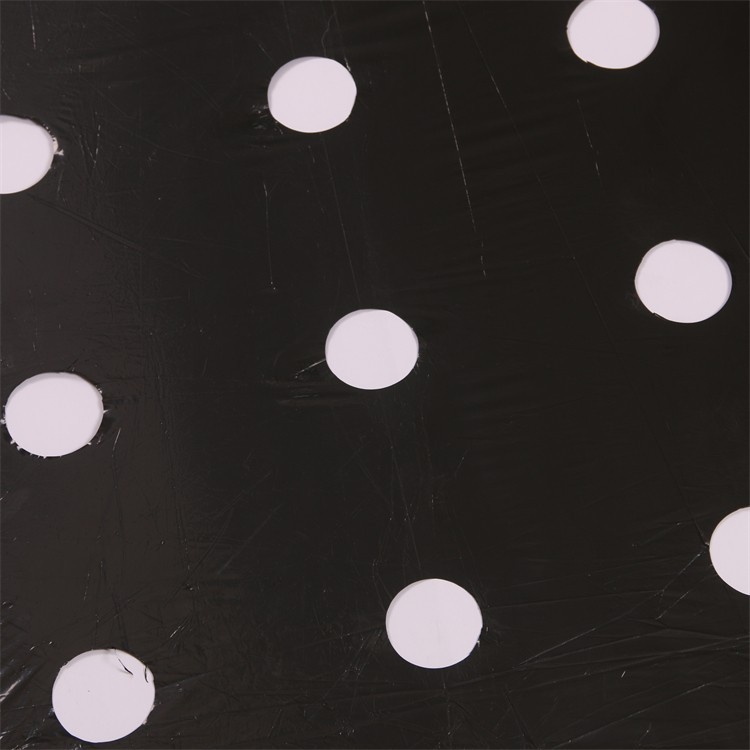 Black Plastic Mulch Film factory